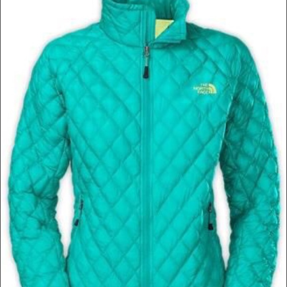 north face down jacket